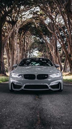 a silver car parked on the side of a road next to some tree lined trees