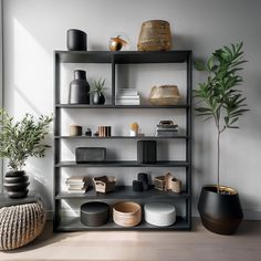 a shelf filled with lots of different types of vases and other decorative items next to a potted plant