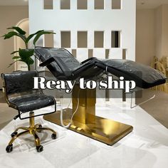 Gold Base Beauty Bed Combo (Stock in USA only Lash Chair, Brown Salon, Studio Lash, Spa Bed, Beauty Salon Furniture, Massage Bed, Salon Furniture, Stool Chair, Beauty Salon