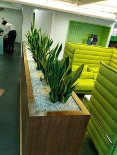 an office with green chairs and plants in the center