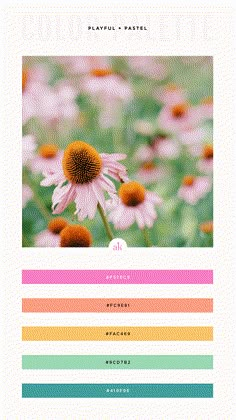 color palette | pink | yellow | summer | rainbow | mint green | blue | orange |pastel Pink And Tangerine Color Palette, Pastel Brand Color Palette, Happy Color Scheme, Happy Color Palette, Whimsical Color Palette, Color Rush, Orange Color Palettes, Color Palette Yellow, Summer Color Palette