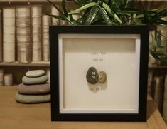 two rocks sitting in a black frame on top of a table next to a potted plant