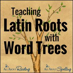 a tree with the words teaching latin roots with word trees