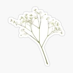 white flowers sticker with green stems and leaves on the top, against a white background