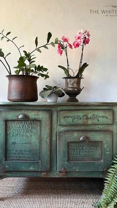 three potted plants sit on top of an old green cabinet with writing on it