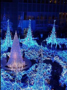 a large christmas tree surrounded by blue lights