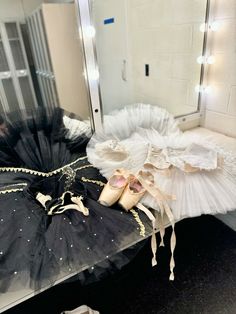 a ballerina's tutule and ballet shoes are on the floor in front of a mirror