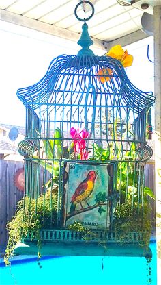 a birdcage filled with flowers sitting on top of a blue table