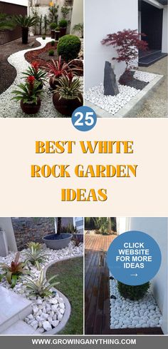 the 25 best white rock garden ideas for your yard or patio, including plants and rocks