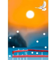 a white bird flying over a red object in the snow with an orange sky behind it