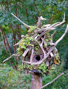 a bird house made out of driftwood in the middle of some trees and bushes