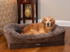 a dog laying in his bed on the floor