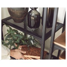 a shelf with coffee beans and other items on it, including a potted plant