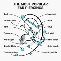 diagram of the most popular ear piercings for men and women in their 20s or 30's