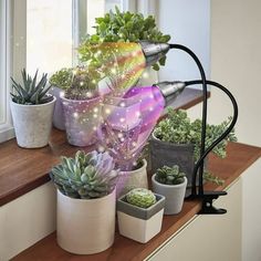 several potted plants on a window sill in front of a window with lights