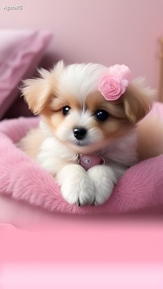 a small white and brown dog laying on top of a pink bed covered in blankets