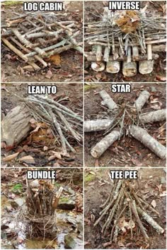 the stages of building a tree root house