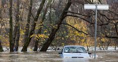 a car driving through a flooded street in the middle of trees and signs on poles