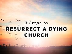 birds flying in the sky at sunset with text that reads 3 steps to resurrett a dying church