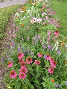 a garden filled with lots of different colored flowers