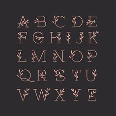 the alphabet is made up of leaves and letters