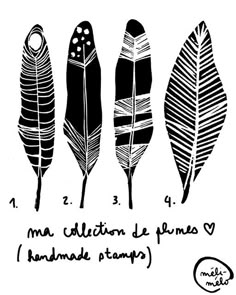 four different types of feathers are shown in black and white, with the words written below them