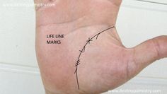 The life line marks that appear on your palm can have a significant meaning. Read this article about having many lines on the palms. Geometric Line Tattoo, Types Of Reading, As Above So Below, The Palms, Silver Spoon