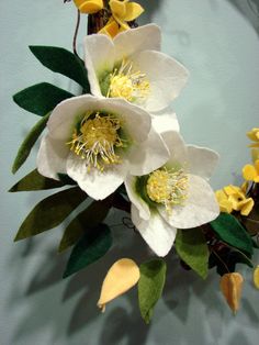 three white flowers with green leaves on a blue background and yellow buds in the center