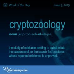 an ad for the word of the day cryptooly on blue and black background