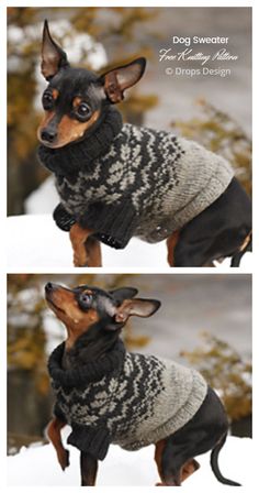 two pictures of a dog wearing a sweater in the snow