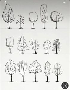 an image of different types of trees in the same drawing style, each with their own line