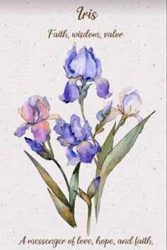 a watercolor painting of blue flowers with the words iris, faith, wisdom, valor