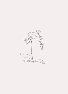 a drawing of a flower on a white background