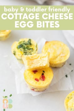 baby and toddler friendly cottage cheese egg bites are the perfect snack for little ones