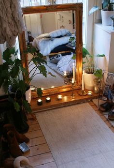 a large mirror sitting on top of a wooden floor next to a potted plant