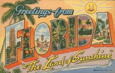 an old florida postcard with the words greetings from florida and the land of sunshine