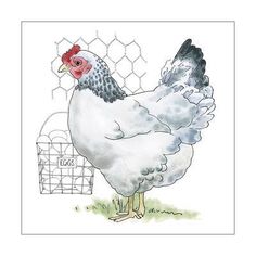 a white chicken standing in front of a fence with a red comb on it's head