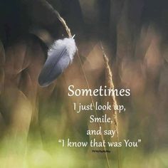 a quote with a feather on it that says sometimes i just look up smile and say i know that was you