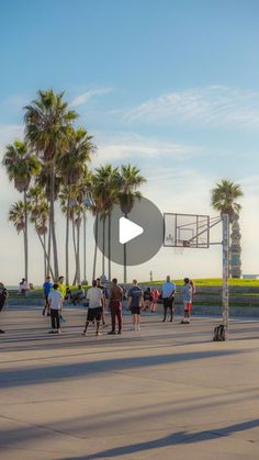 a group of people standing on top of a parking lot next to palm trees and basketball hoop