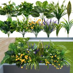 an assortment of plants and flowers in a planter