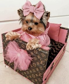 a small dog is sitting in a louis vuitton suitcase with a pink bow on it's head