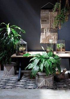 some plants are sitting on a table in the middle of a room with black walls