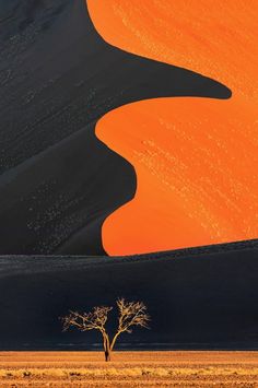 a lone tree stands in the middle of an empty field with sand dunes behind it