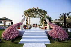 two peacocks are standing on the steps in front of an outdoor wedding ceremony area