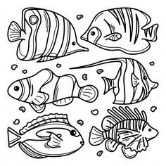 coloring pages for kids with different types of fish