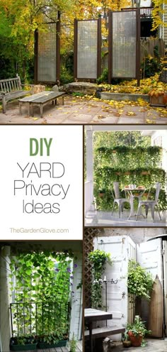 several pictures of different types of garden privacy