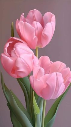 two pink tulips are in a vase with green leaves on the bottom and side