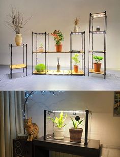 Mini Greenhouse for Indoor Plants Sezam L, with Built-in T5 Grow-Lights and Ultra-Transparent Cover for Home, Portable Greenhouse, Small GreenhouseMini Greenhouse for Indoor Plants Sezam L, with Built-in T5 Grow-Lights and Ultra-Transparent Cover for Home, Portable Greenhouse, Small Greenhouse Grow Shelf