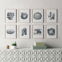 a white shelf topped with lots of framed pictures