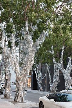 a white car parked next to a tree covered in ice